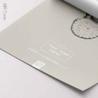 Lumbar Vertebrae, Superior View — Anatomy Chart