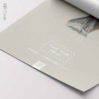 Neck Muscles, Lateral — Anatomie-Tafel