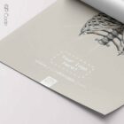 Rib Cage, Anterior — Tavola anatomica