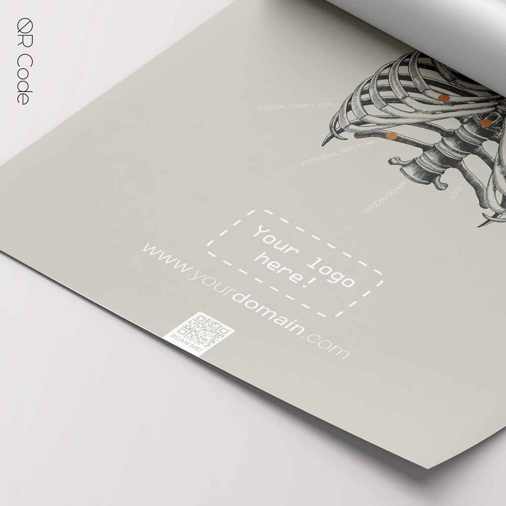 Rib Cage, Anterior — Tavola anatomica