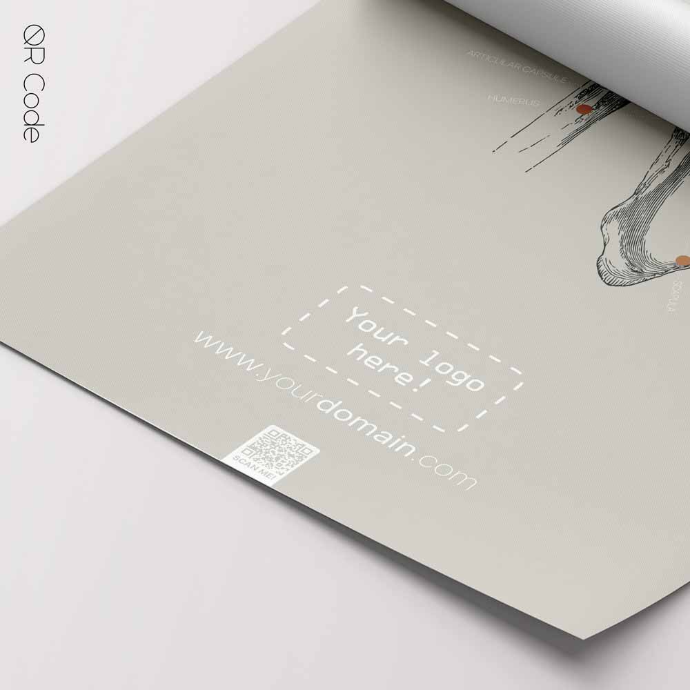 Shoulder Anatomy, Frontal — Anatomy Chart