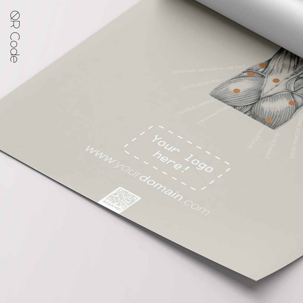 Back Muscles Anatomy — Anatomy Chart