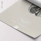 Cranial Nerves, Cross Section — Tavola anatomica