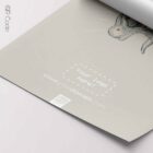 Ear Anatomy, Cross Section — Tavola anatomica