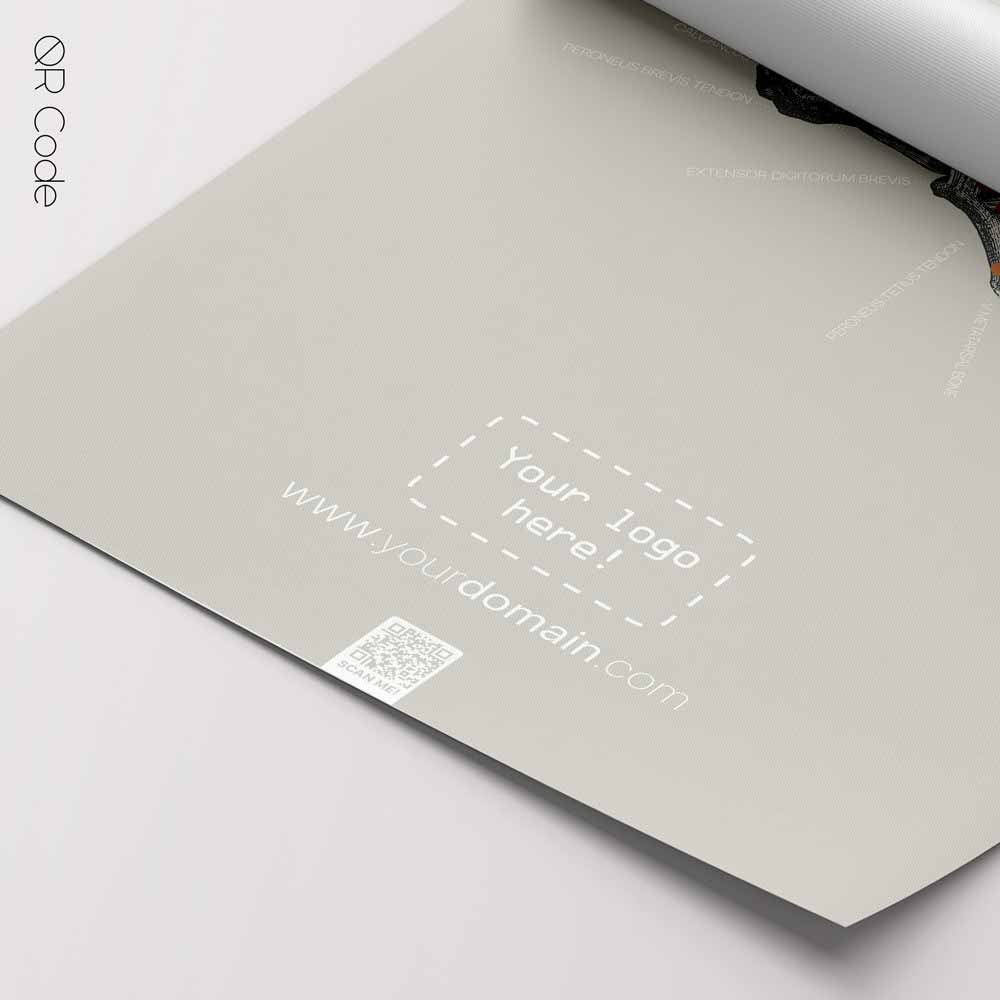 Foot Anatomy — Anatomie-Tafel