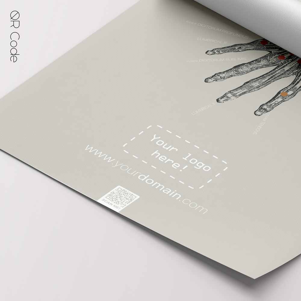 Hand Anatomy — Anatomie-Tafel