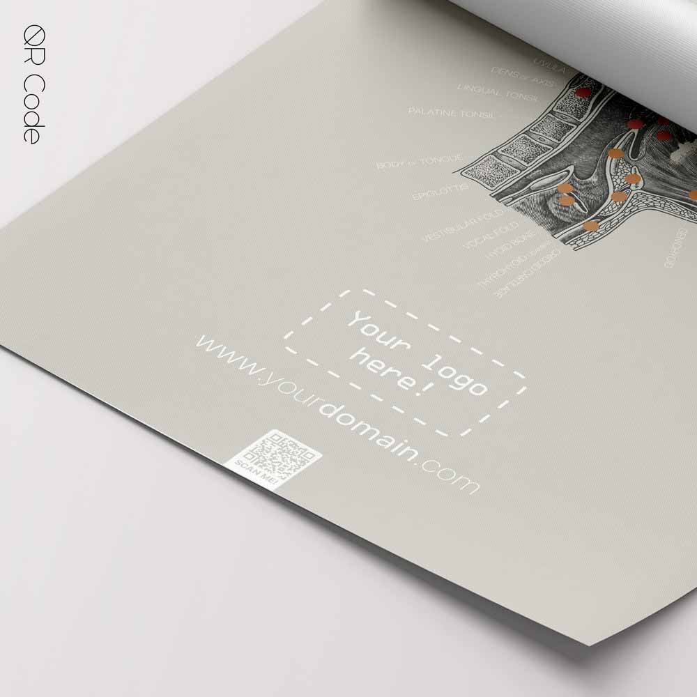 Oral Cavity, Cross section — Anatomy Chart