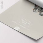 Pelvis Anatomy, Male — Anatomy Chart