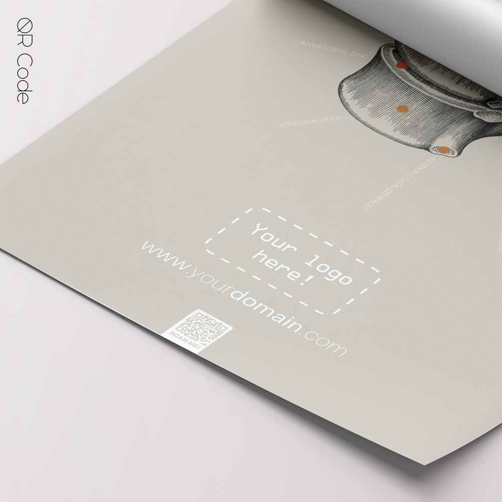 Thoracic Vertebrae, Lateral View — Anatomy Chart