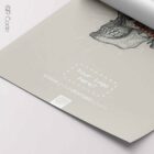 Temporal Sphenoid, TS-Line — Tavola anatomica