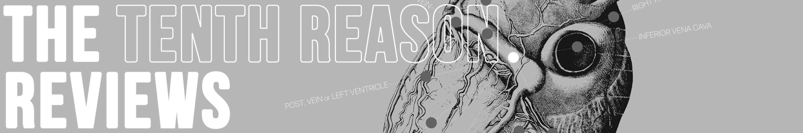 Tenth reason to choose www.educare.design