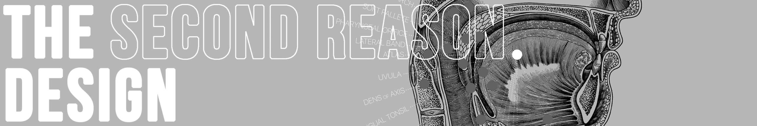 Second reason to choose www.educare.design