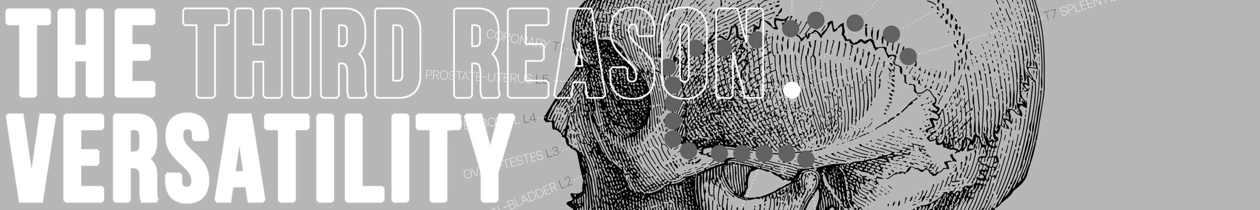 Third reason to choose www.educare.design