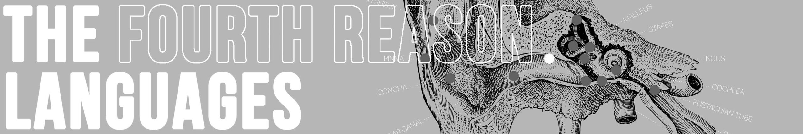 Fourth reason to choose www.educare.design