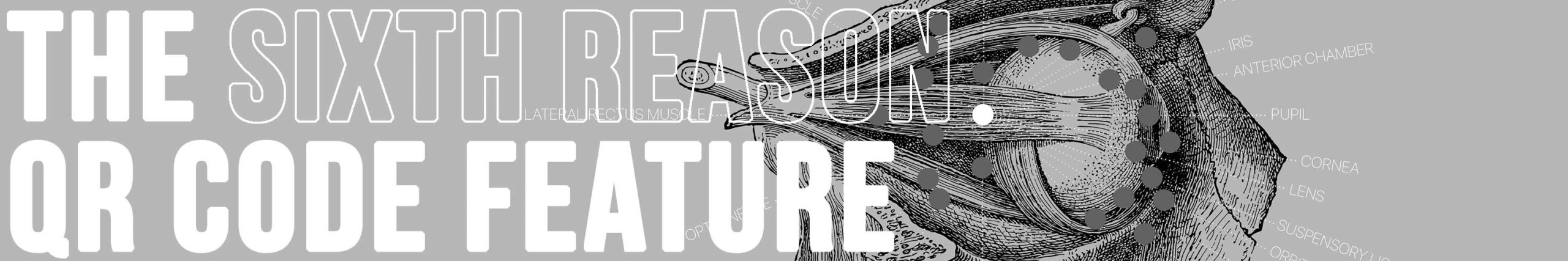 Sixth reason to choose www.educare.design