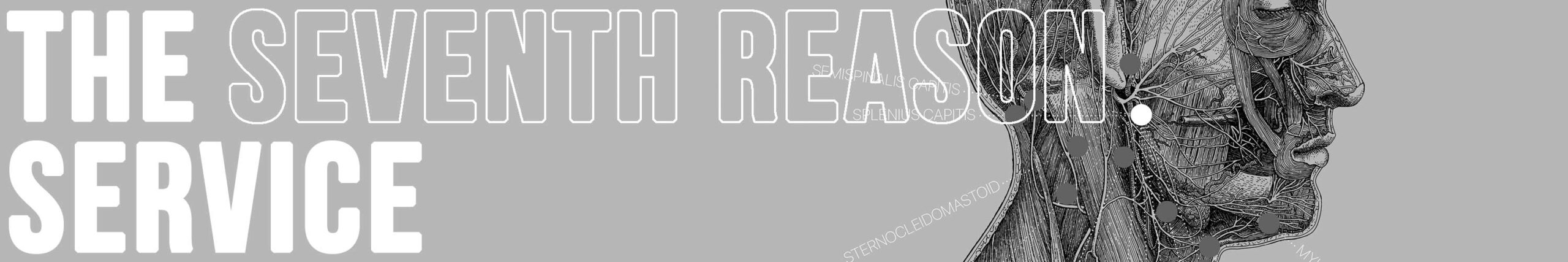 Seventh reason to choose www.educare.design