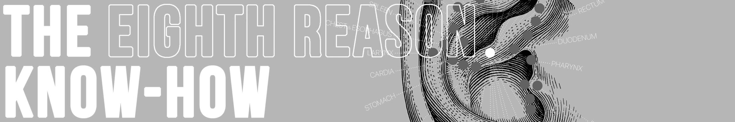 Eighth reason to choose www.educare.design