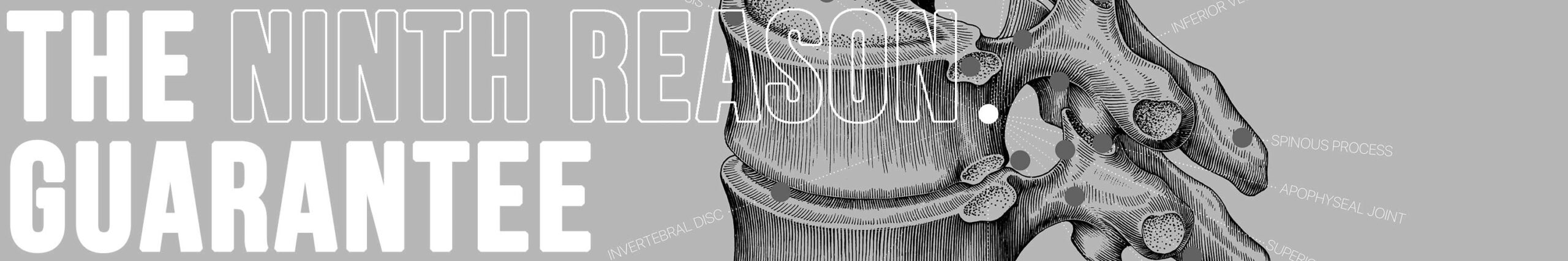 Ninth reason to choose www.educare.design