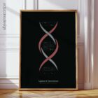 DNA Chemistry and Sex Chromosomes anatomy chart for clinics DNA Chemistry and Sex Chromosomes anatomy chart for clinics