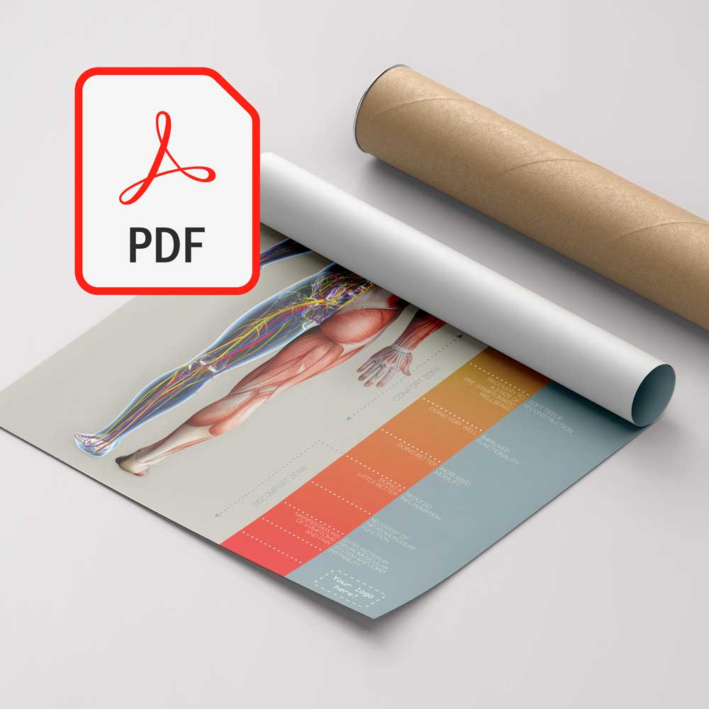 Print-it-yourself digital PDF version with logo customisation