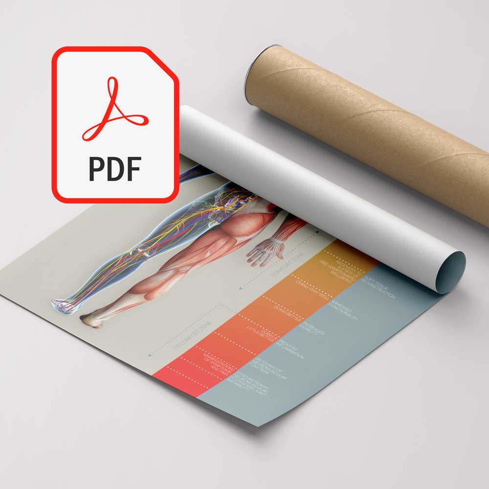 Print-it-yourself digital PDF version without customisation