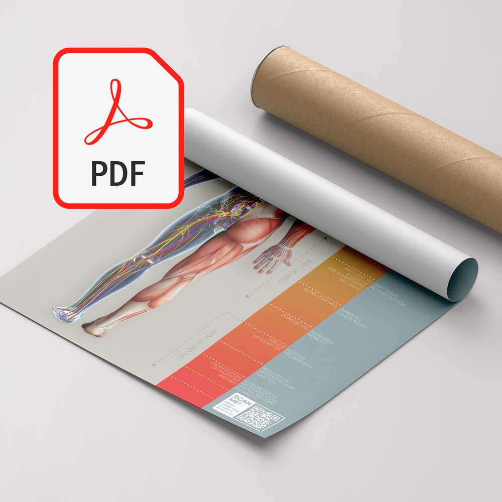 Print-it-yourself digital PDF version with QR-Code customisation