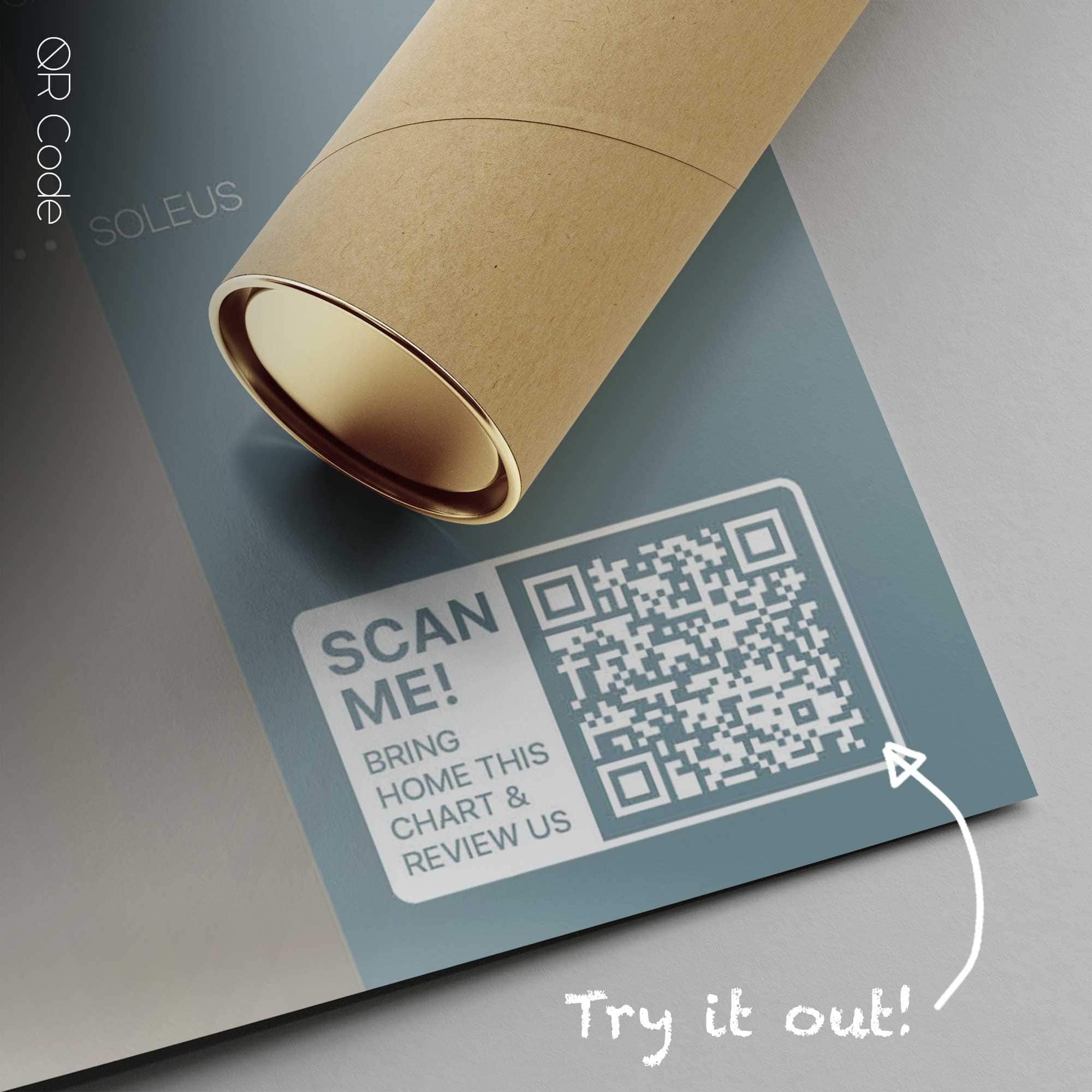 Muscular System, Anterior — Planche anatomique Muscular System, Anterior — Planche anatomique