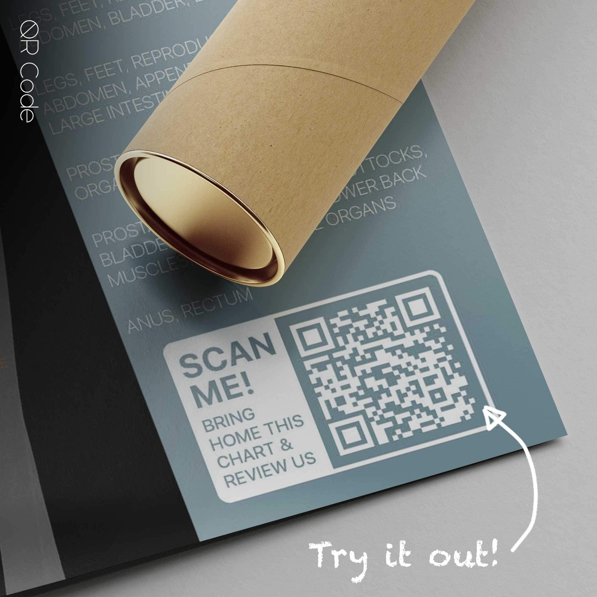 Spinal Motion (Controlled Physiology) — Anatomy Chart