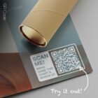 Craniofacial Muscles — Planche anatomique