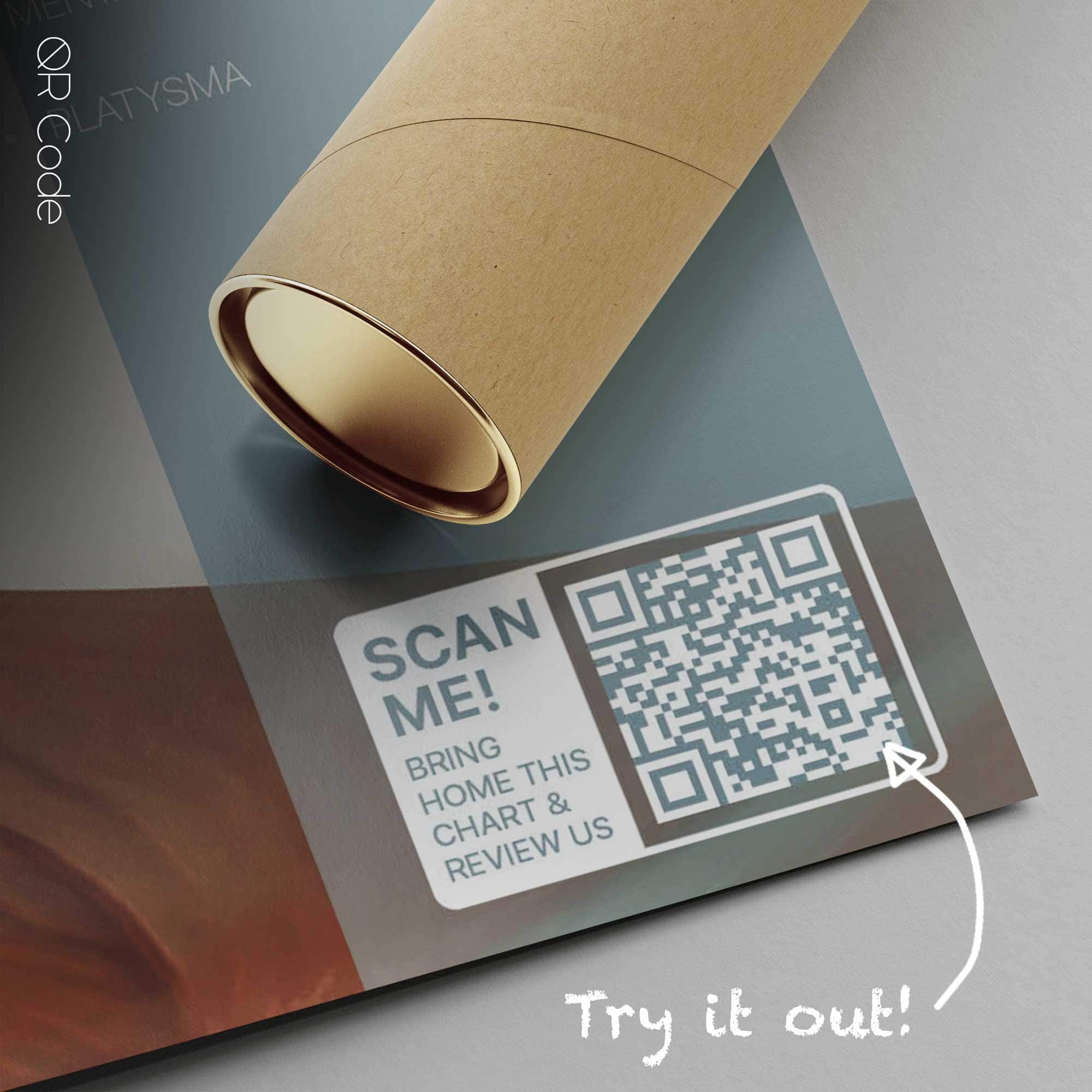 Craniofacial Muscles — Planche anatomique