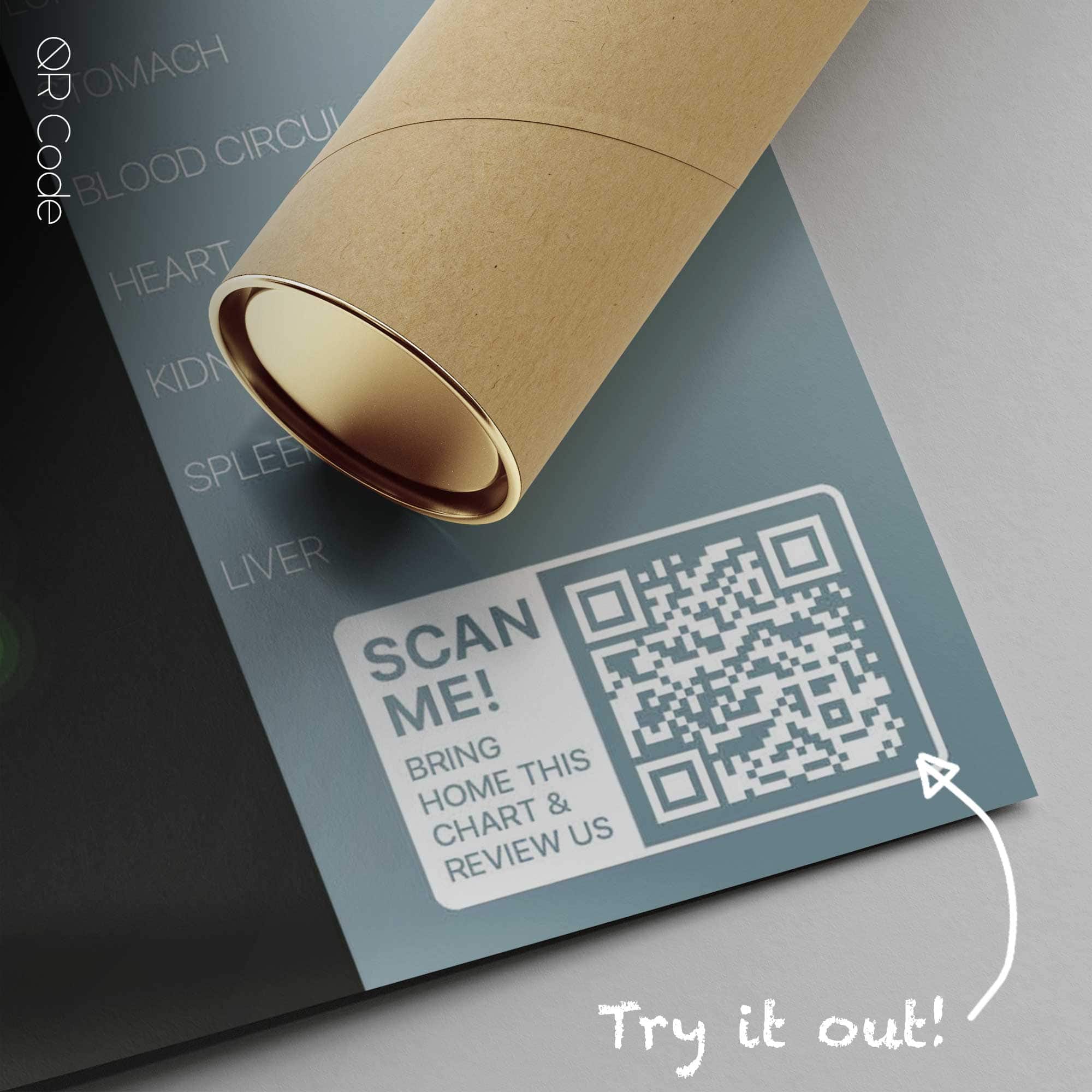 Meridian Channels — Tavola anatomica