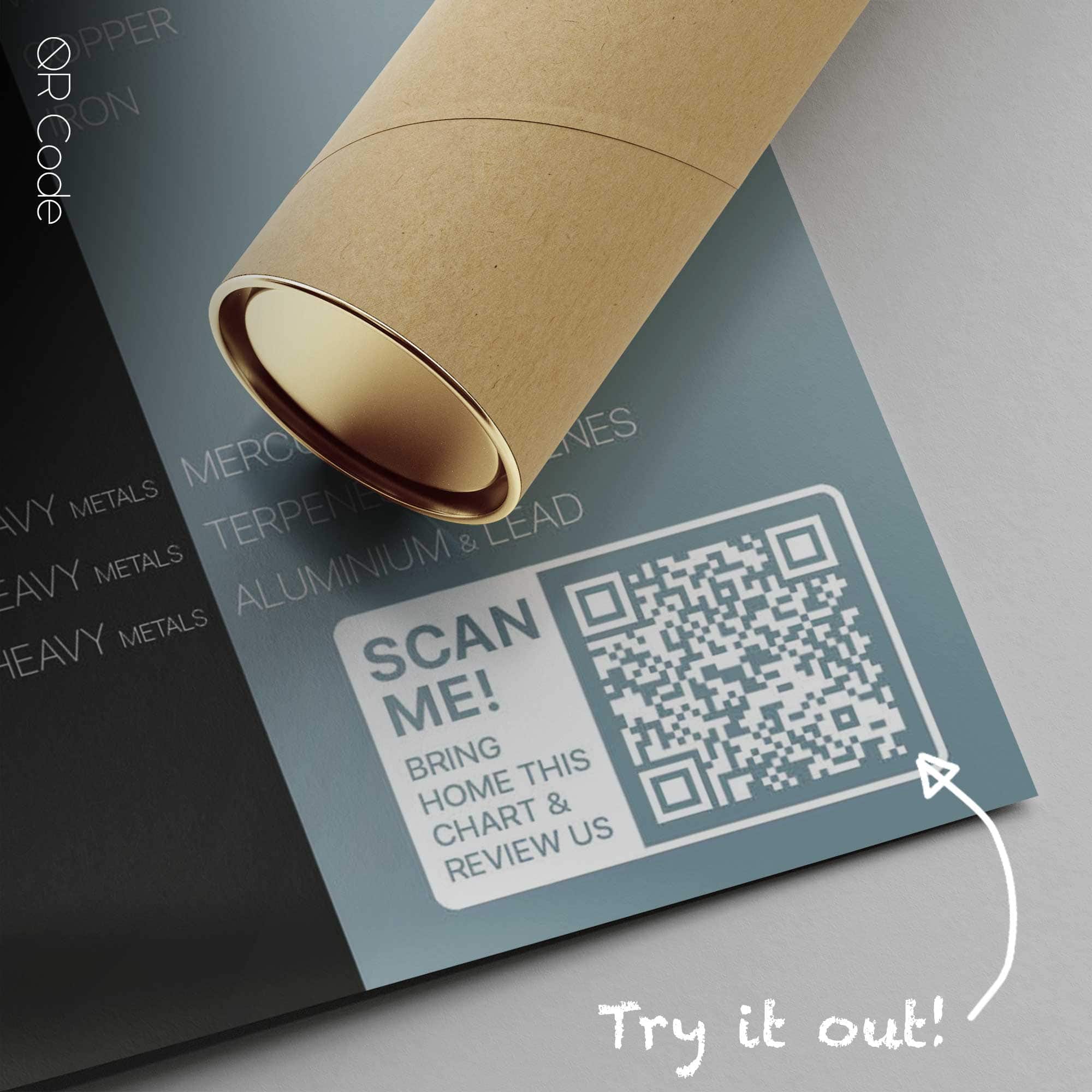 Nutritional Energy Reflex Points (NERP) — Planche anatomique Nutritional Energy Reflex Points (NERP) — Planche anatomique