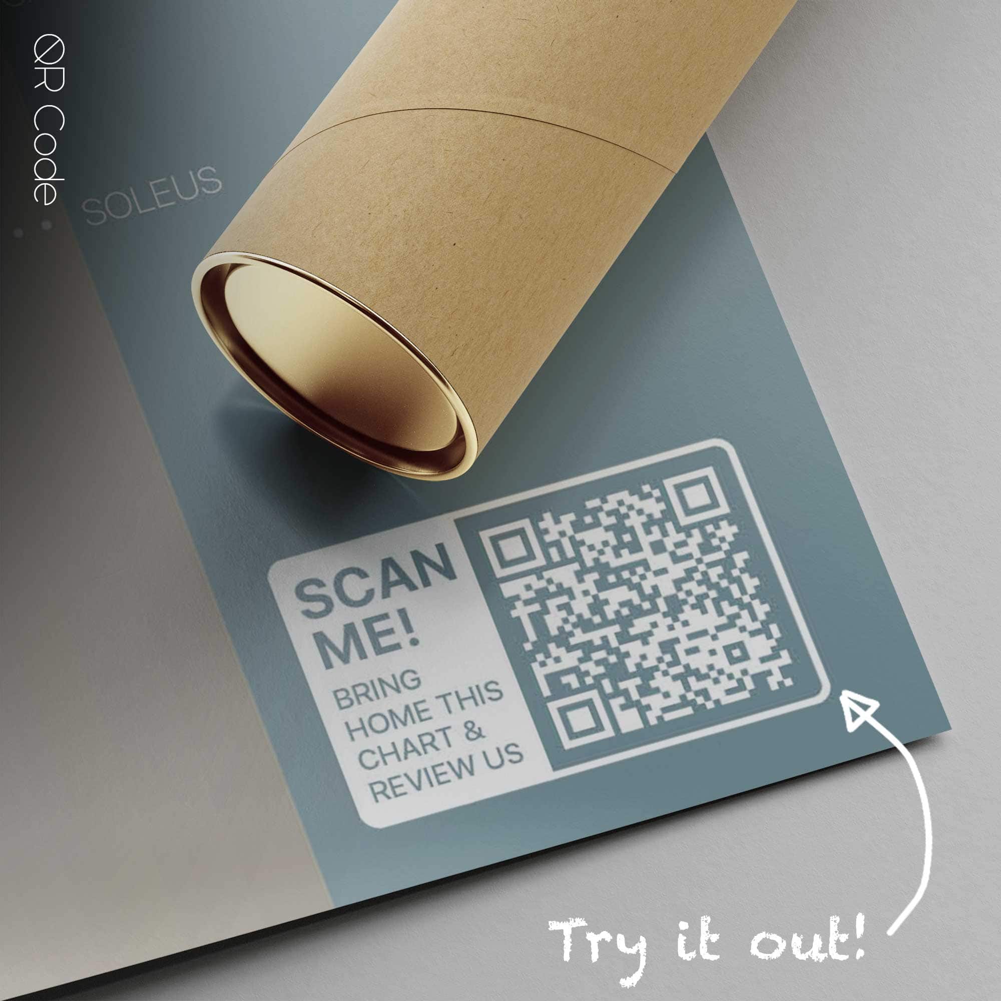 Muscular System, Posterior — Anatomie-Tafel Muscular System, Posterior — Anatomie-Tafel