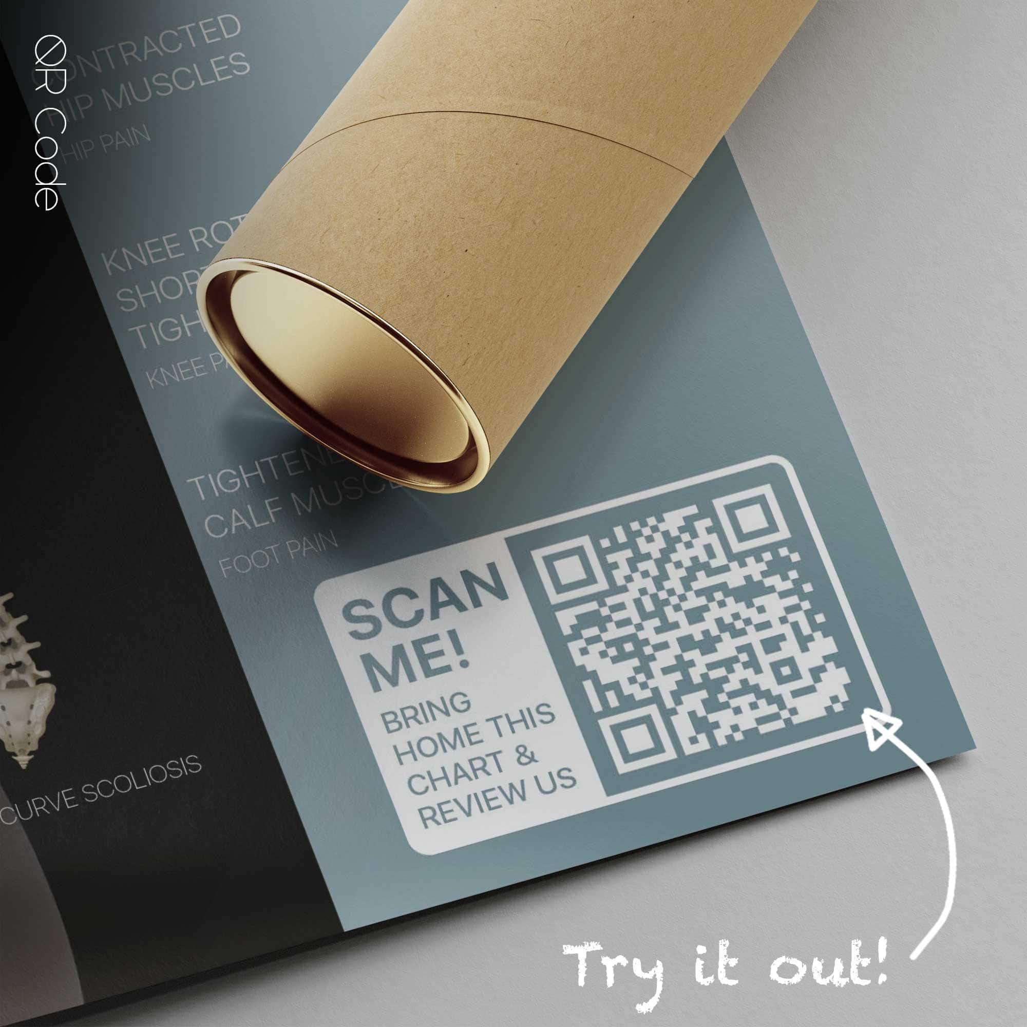 Postural Assessment and Scoliosis — Anatomy Chart