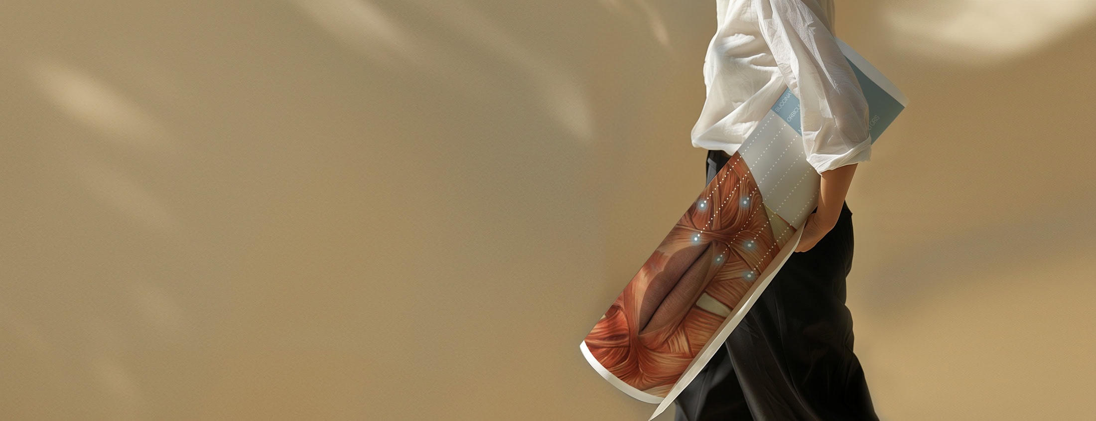 Print it yourself anatomy charts for medical offices