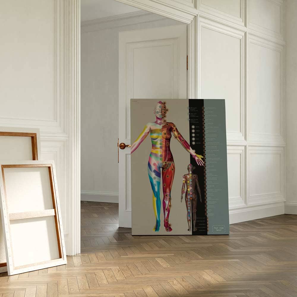 Dermatomes et de l’Innervation Nerveuse Cutanée