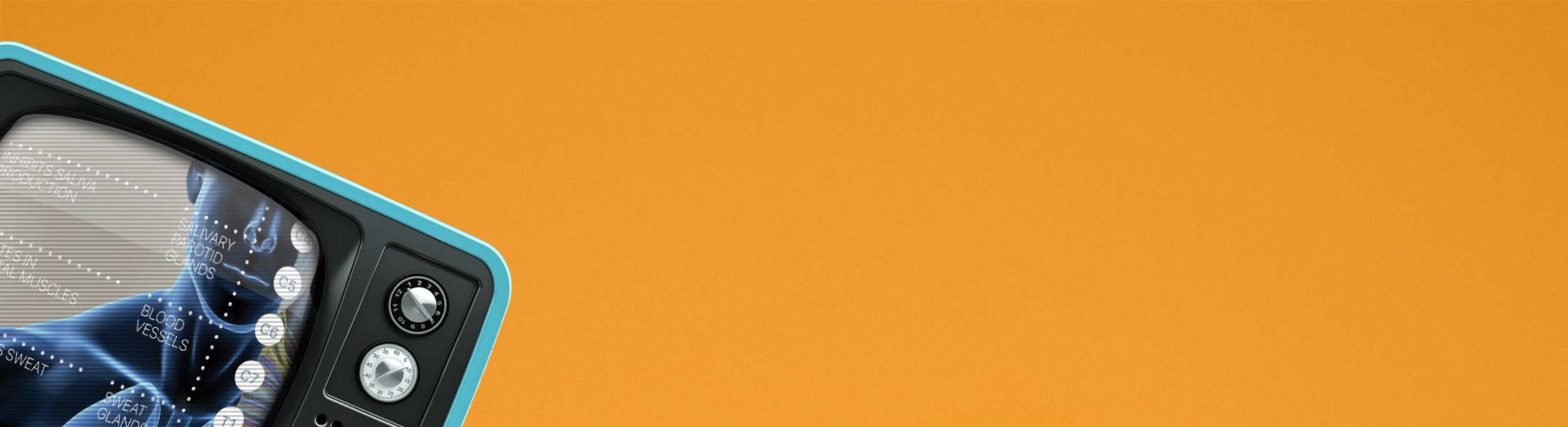 Video of Autonomic Nervous System