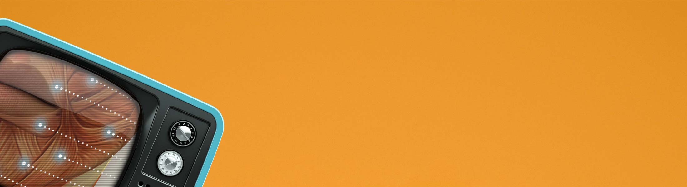 Video of Craniofacial Muscles