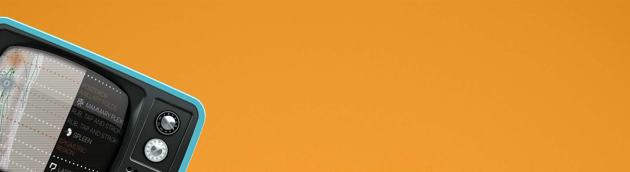 Video of Lymphatic System