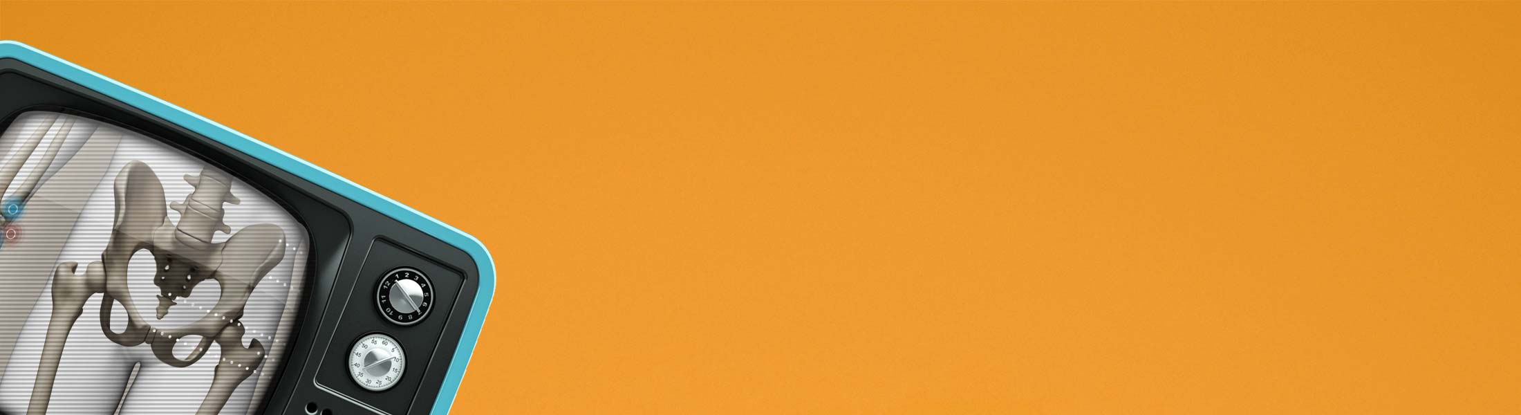 Video of Skeletal System