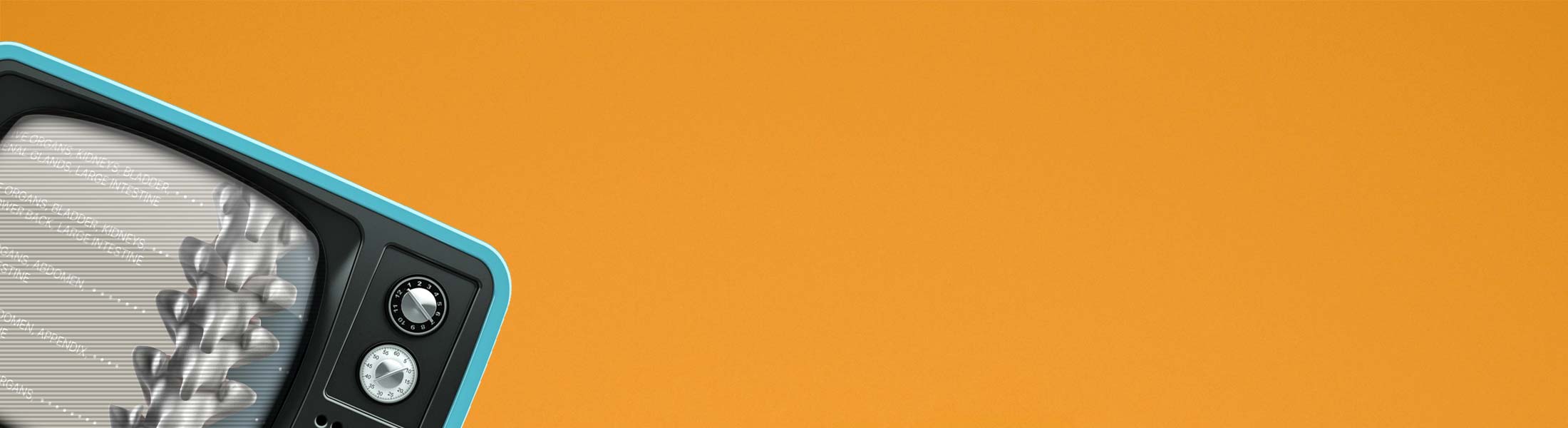 Video of Spinal Nerves Function