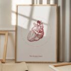 The Heart anatomy chart for clinics
