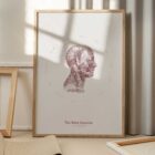 The Neck Muscles anatomy chart for clinics