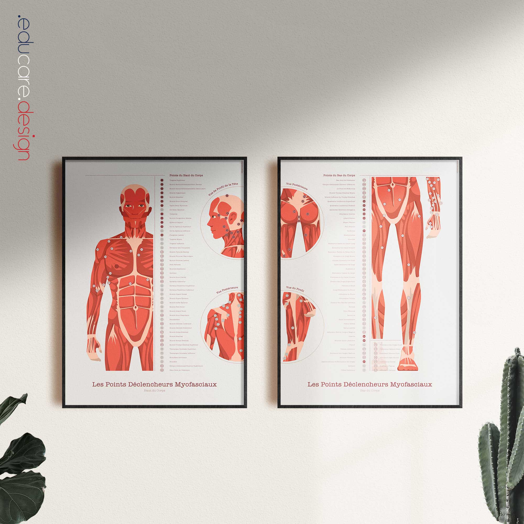 L'ensemble de Points de Déclenchement Myofasciaux