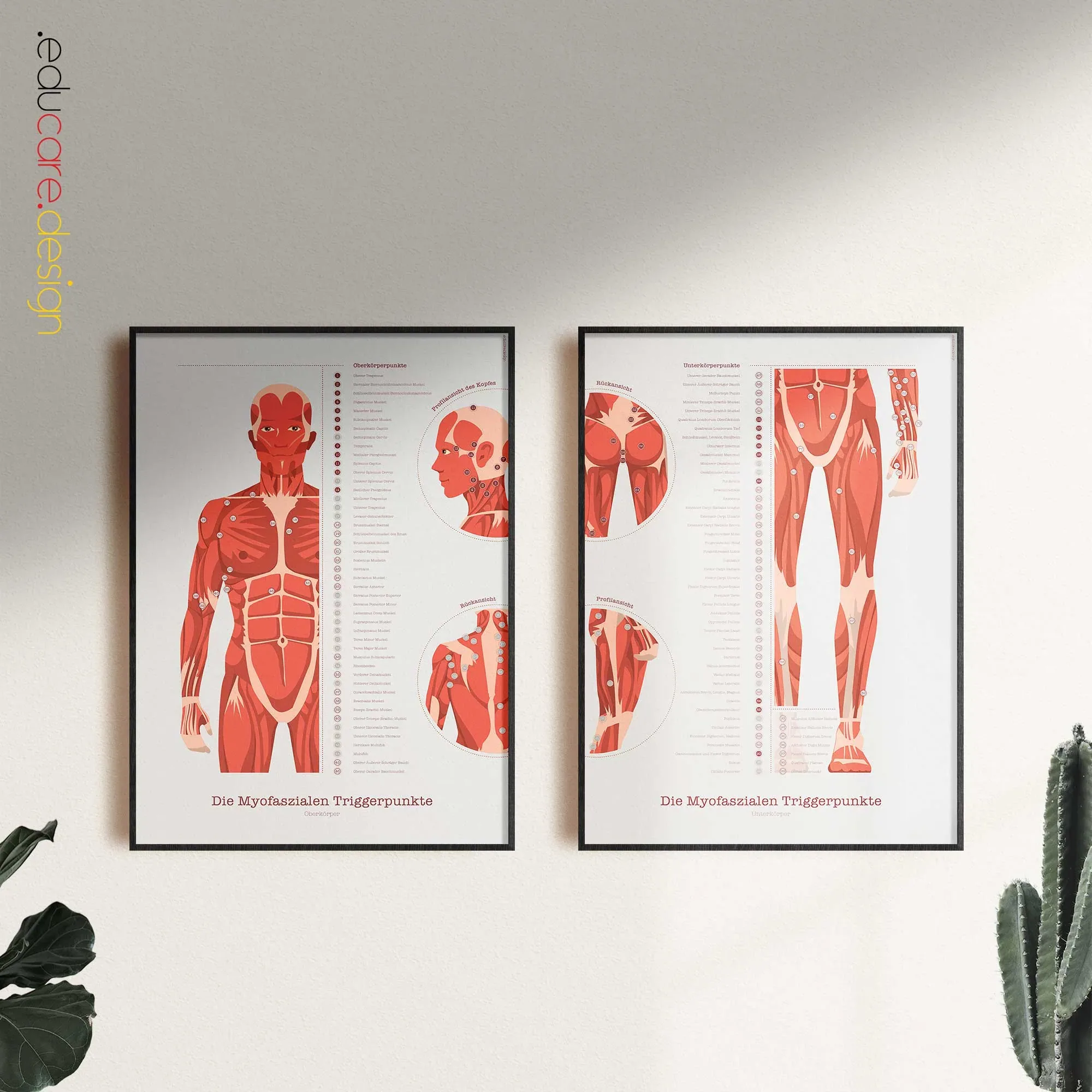 Myofasziale Triggerpunkte Set Anatomie-Chart für Praxen und Kliniken