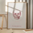 The Anterior Cranial Bones Vintage Artwork