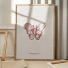 The Male Pelvis Vintage Artwork