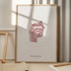 The Oral Cavity anatomy chart for clinics