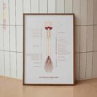 Los Nervios Espinales