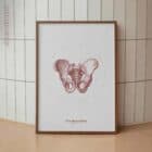 The Male Pelvis Vintage Artwork